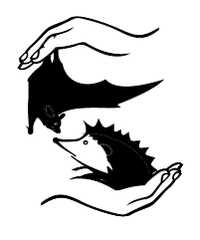 Fundacja Na Rzecz Ochrony Dzikich Zwierząt Primum